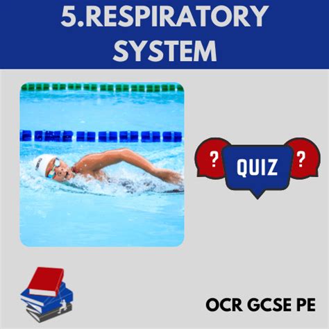 Pe Gcse Ocr Flashcards & Quizzes 